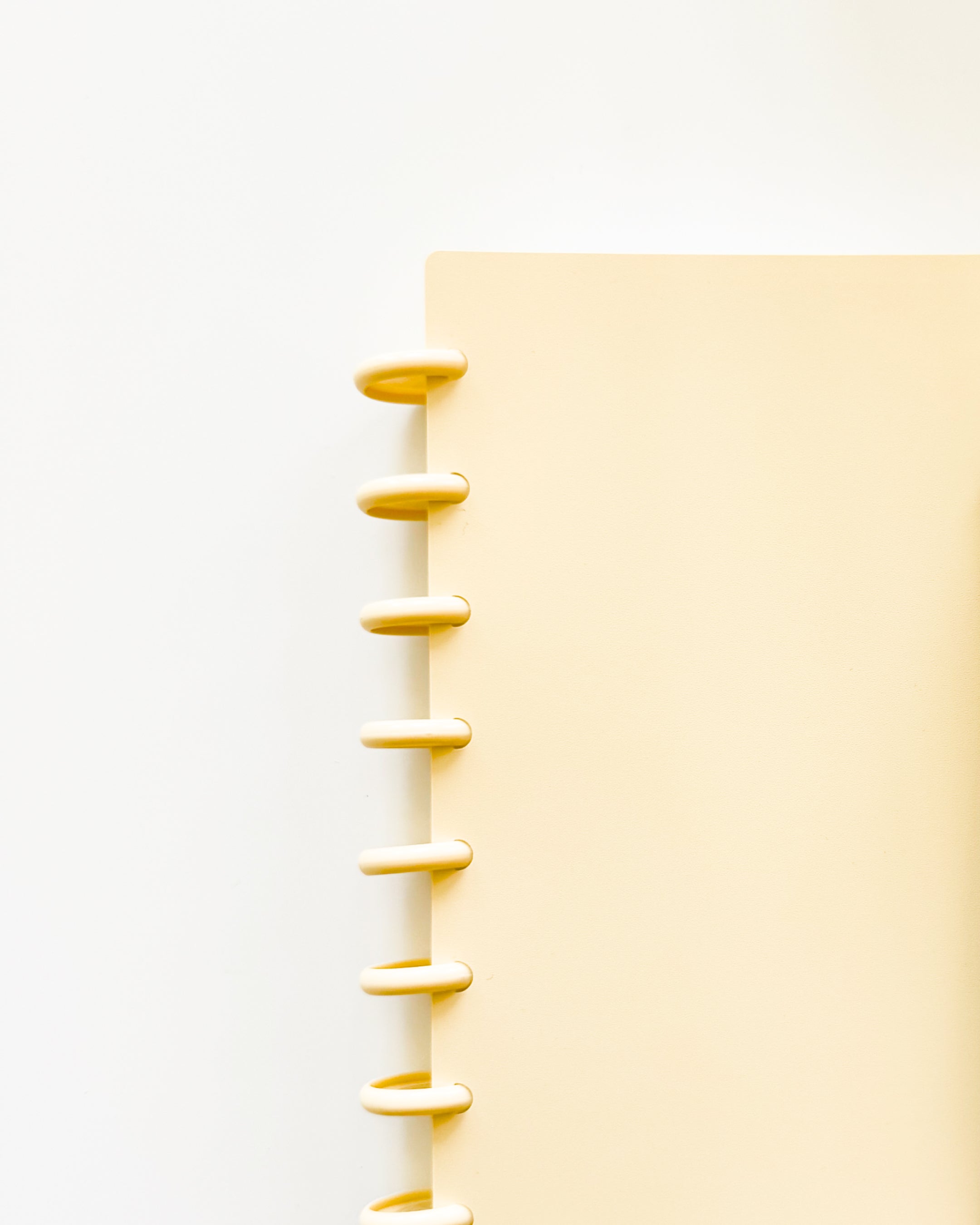 8 Disques beiges 28 mm