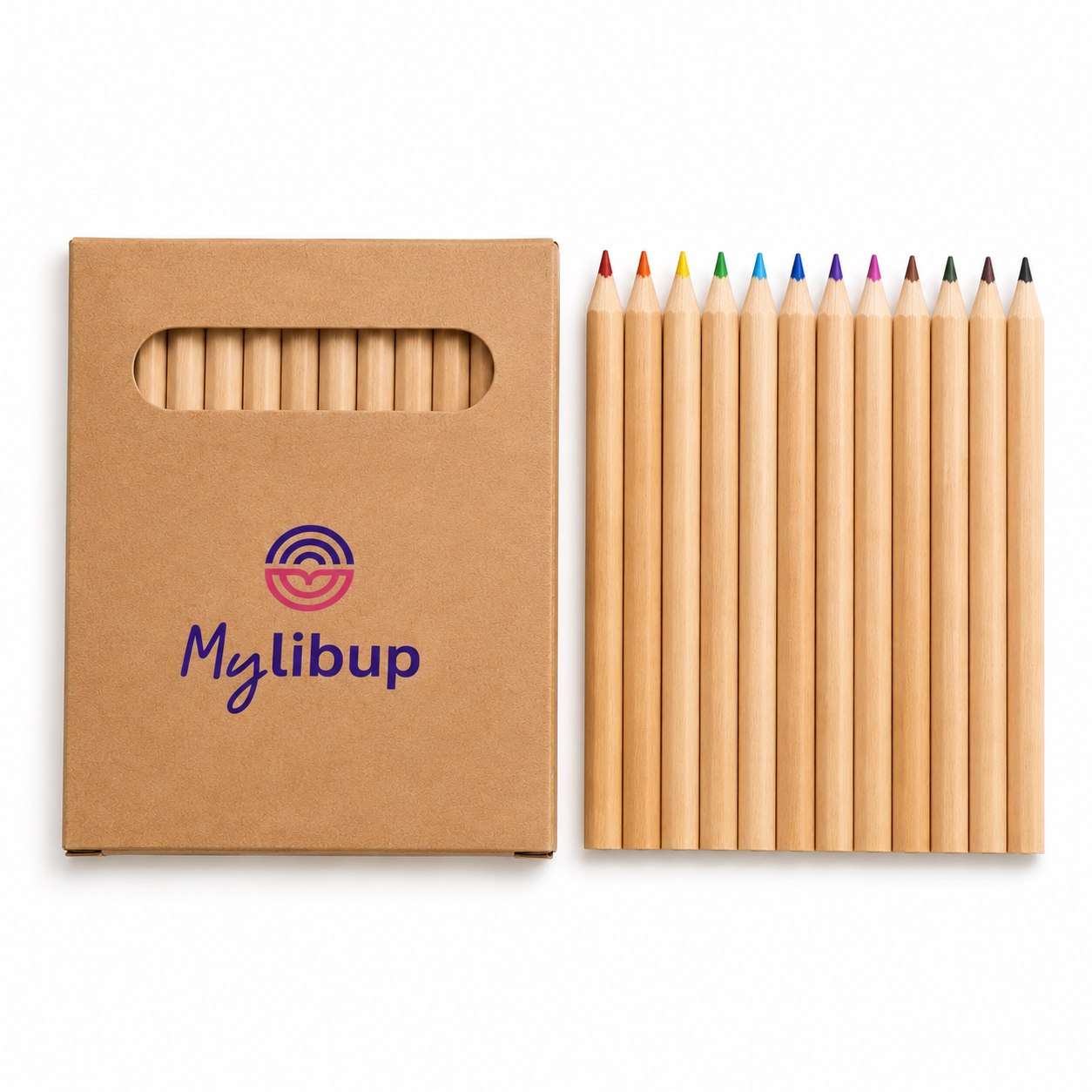 Lot de 12 mini crayons de couleur
